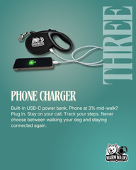 "Leash + Flashlight" Bundle Special