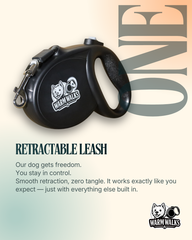 "Leash + Flashlight" Bundle Special