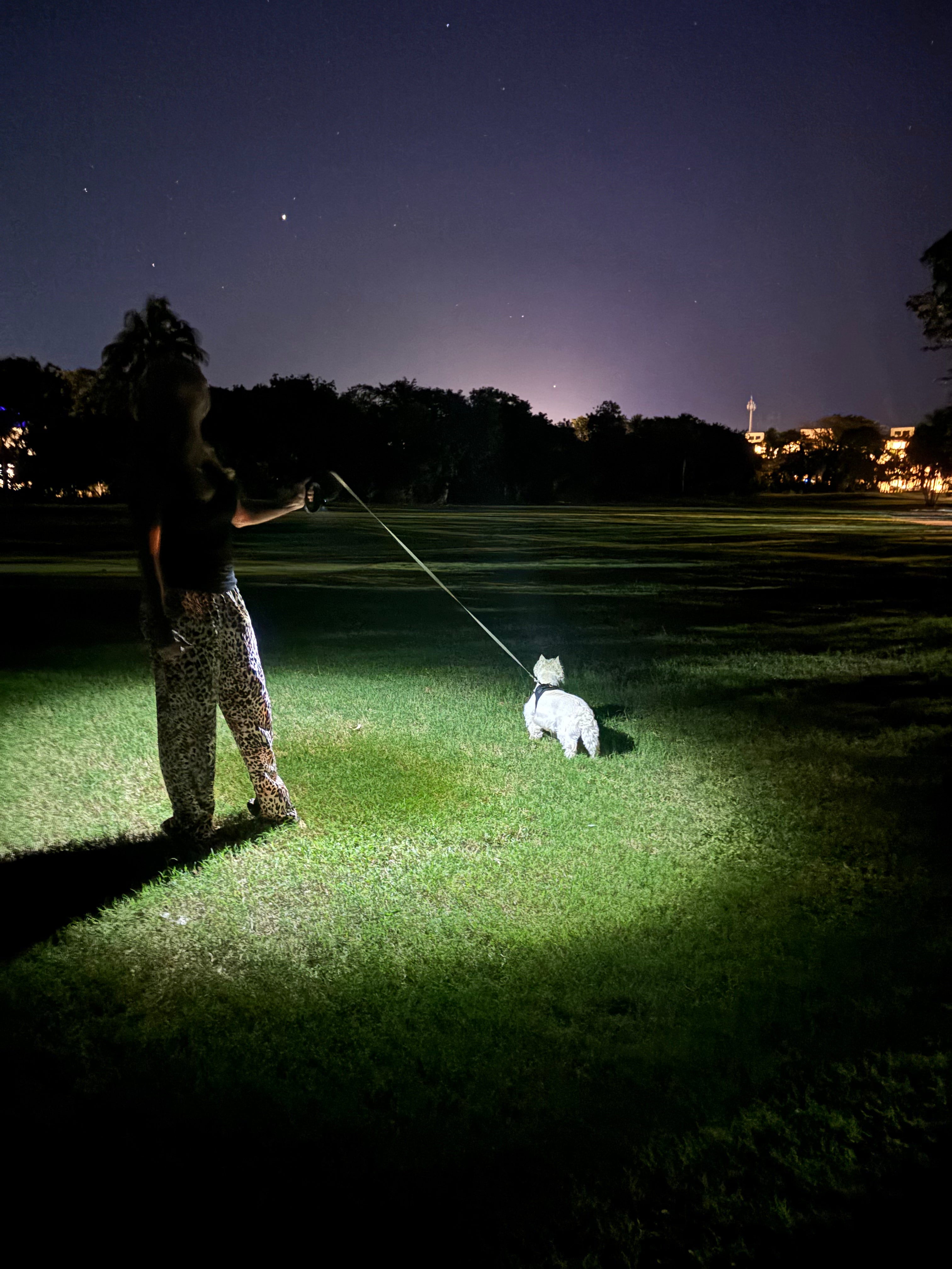 Mini Flashlight USB C LED Light Brightness 210 Lumens Get Power From Phone/Power Bank Small Size